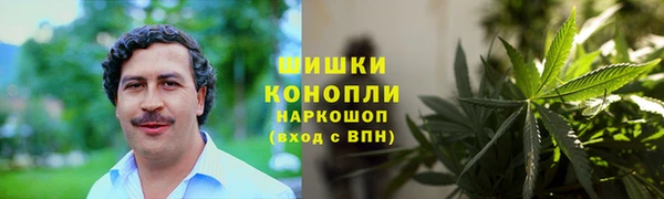 гидропоника Нея