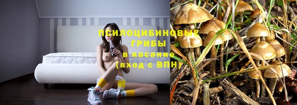 гидропоника Нея