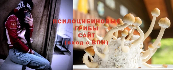 крисы Нефтекумск