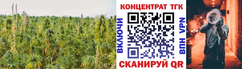 купить   гидра вход  Дистиллят ТГК THC oil  Островной 